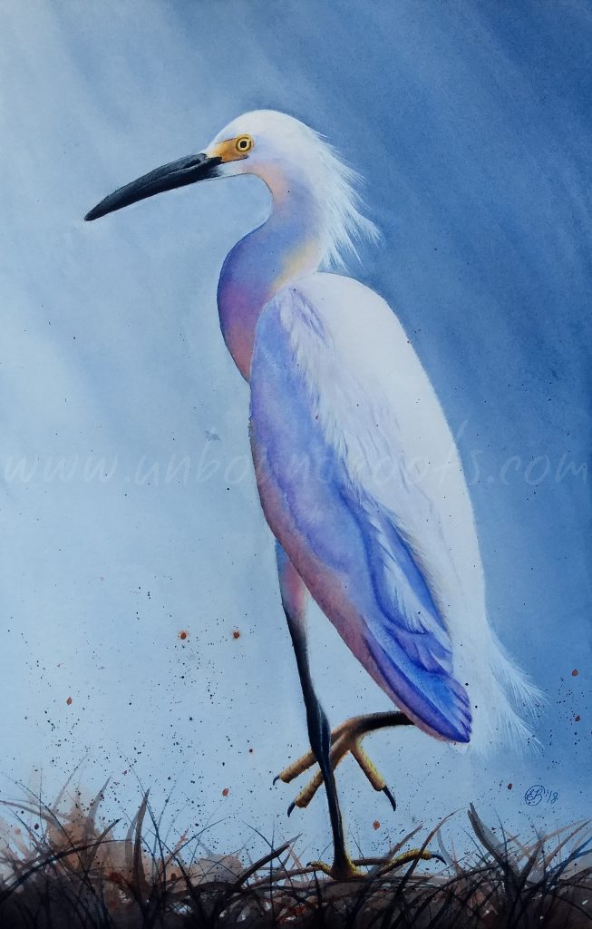 Snowy Egret: Watercolor